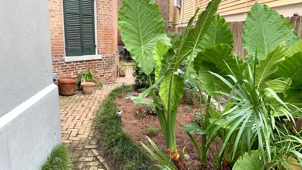 Photo of Outdoor in Faubourg Marigny