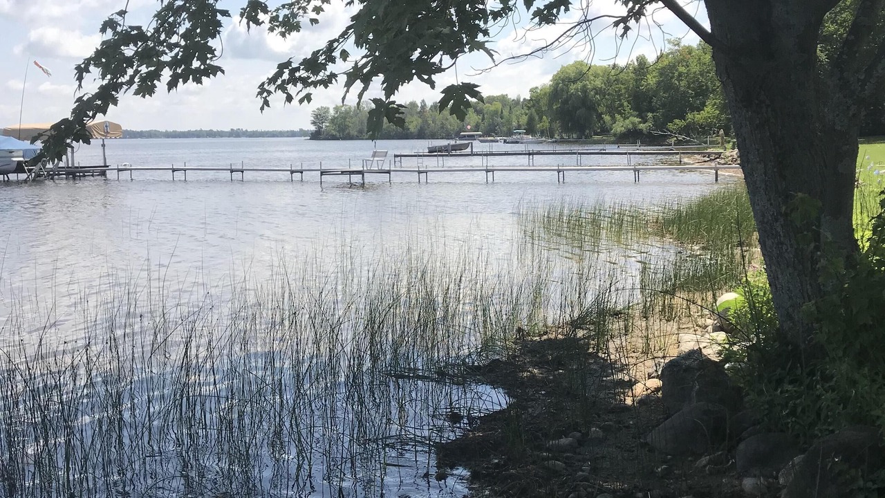 Photo of Outdoor in Carp Lake