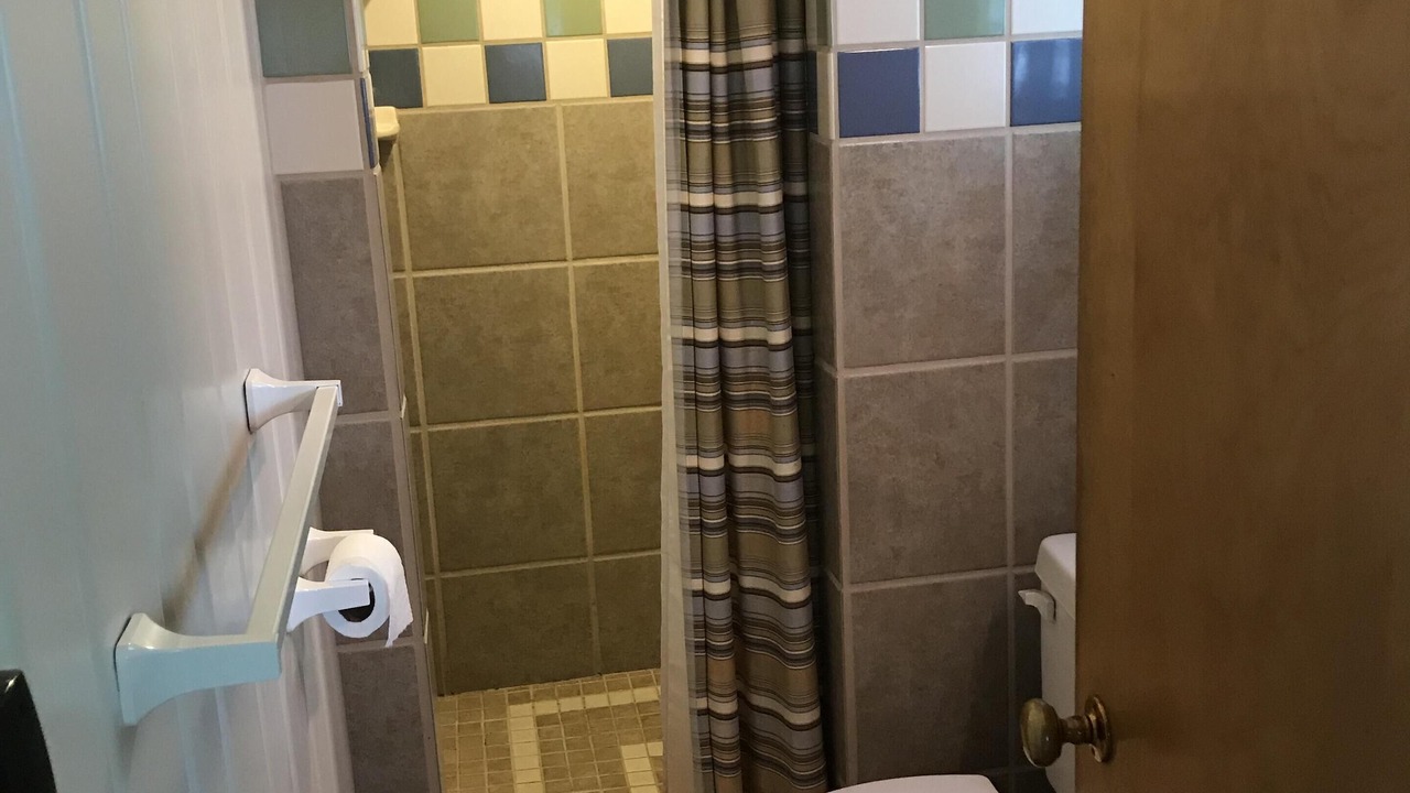 Photo of Bathroom in Carp Lake