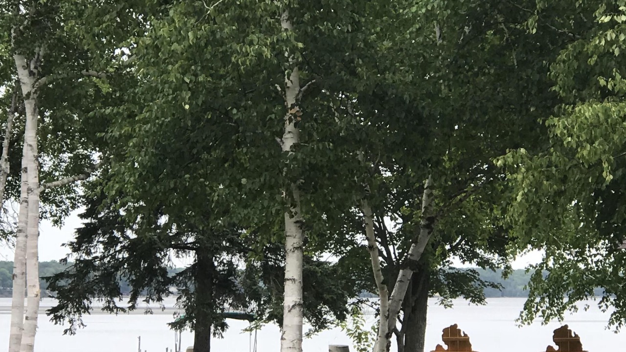 Photo of Outdoor in Carp Lake