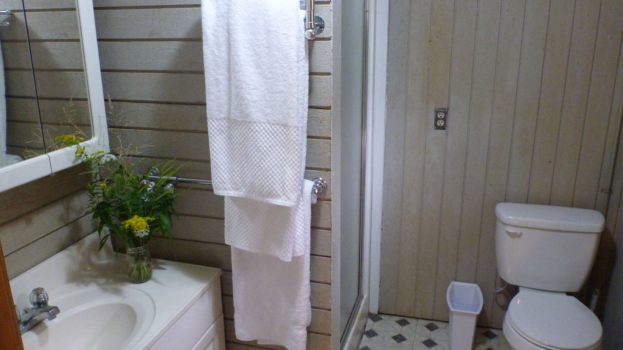 Photo of Bathroom in Michigan City