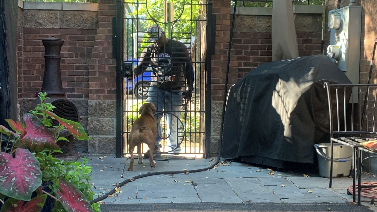 Photo of Outdoor in Oak Park