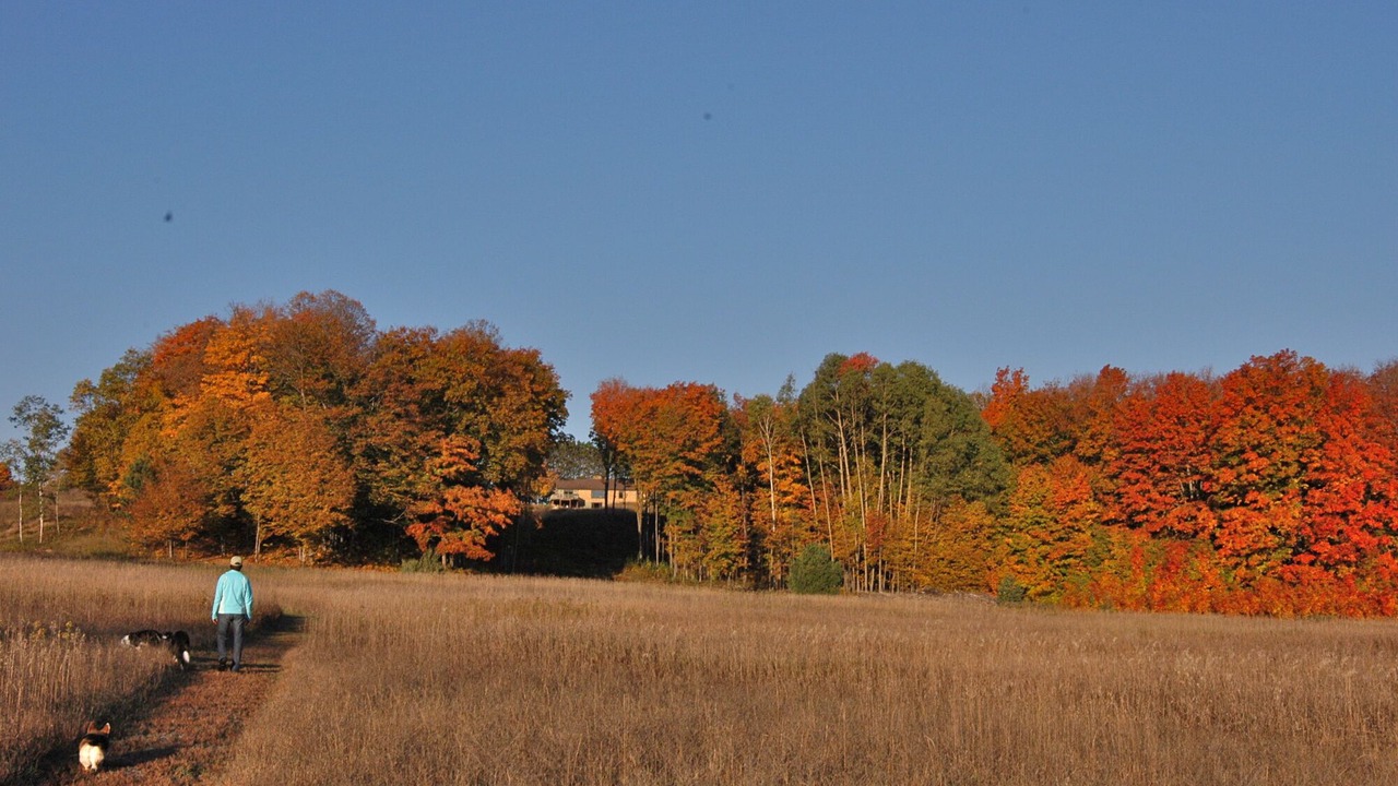 Photo of Others in Boyne City