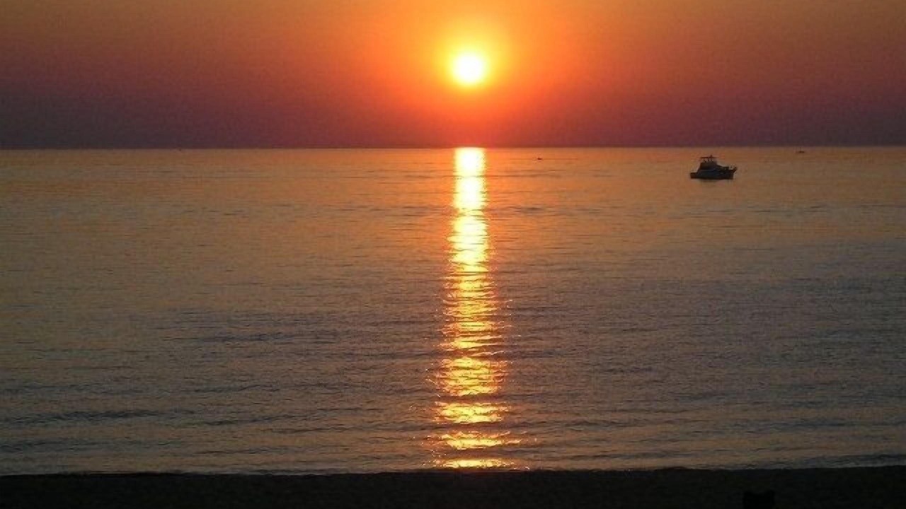 Photo of Others in South Haven