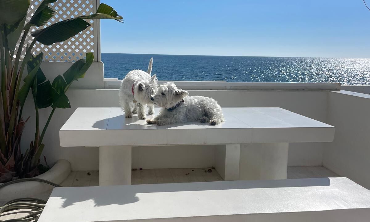 Photo of Outdoor in Mijas Costa