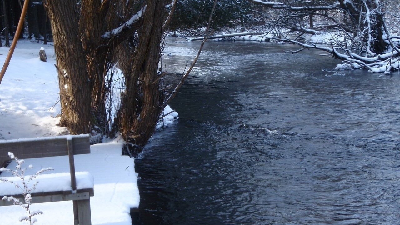 Photo of Outdoor in Wolverine