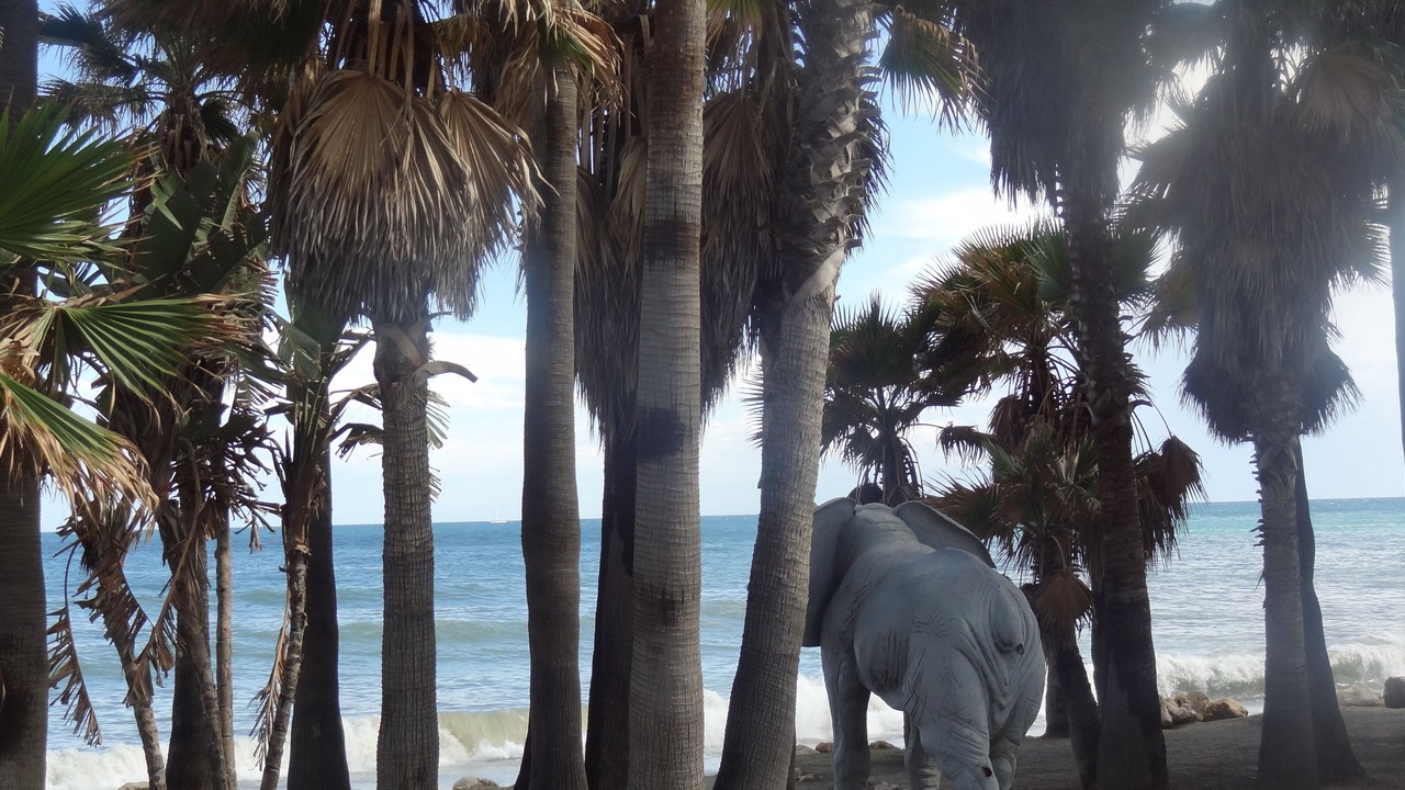 Photo of Others in San Pedro de Alcantara