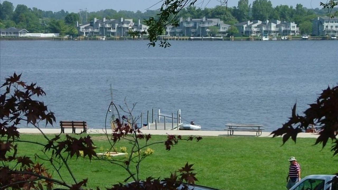 Photo of Others in Saugatuck