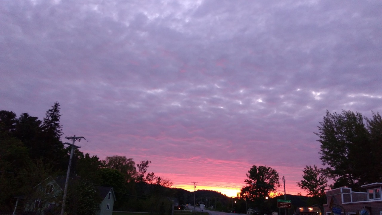 Photo of Outdoor in Northport
