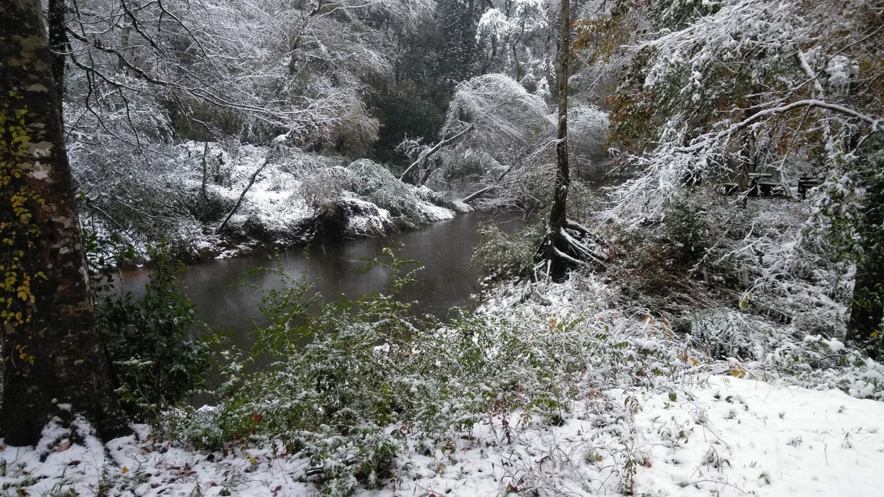 Photo of Outdoor in Folsom