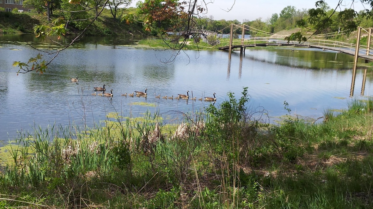 Photo of Others in Miller Beach