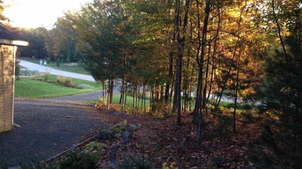 Photo of Outdoor in Pentwater