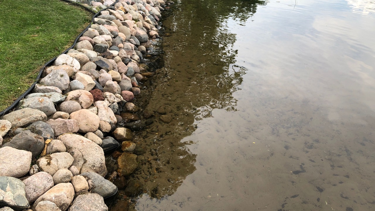Photo of Others in Aitkin