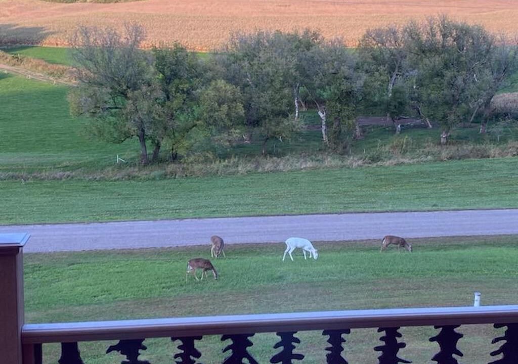 Photo of Outdoor in Cochrane