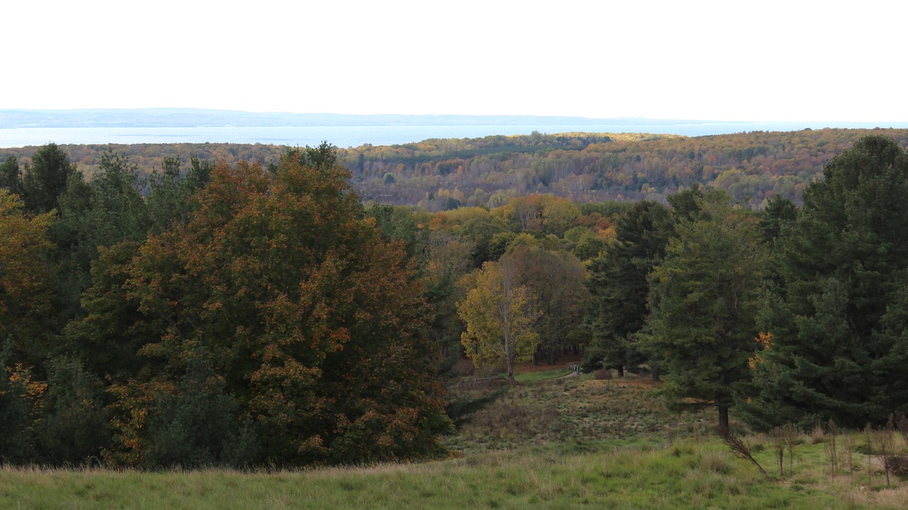 Photo of Outdoor in Harbor Springs