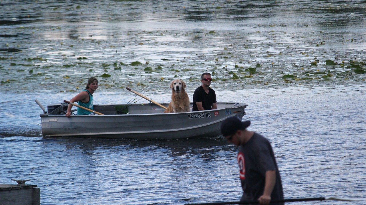 Photo of Others in Lake
