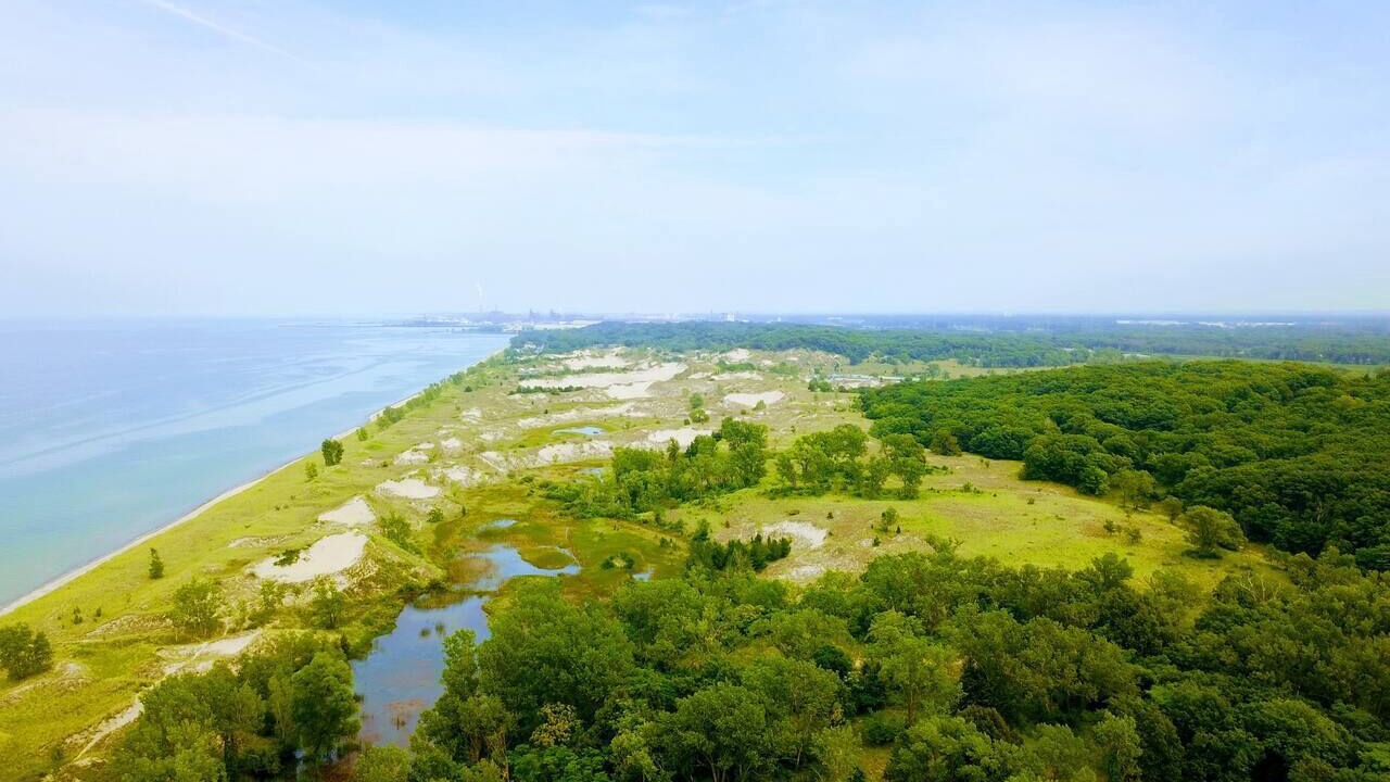 Photo of Others in Miller Beach