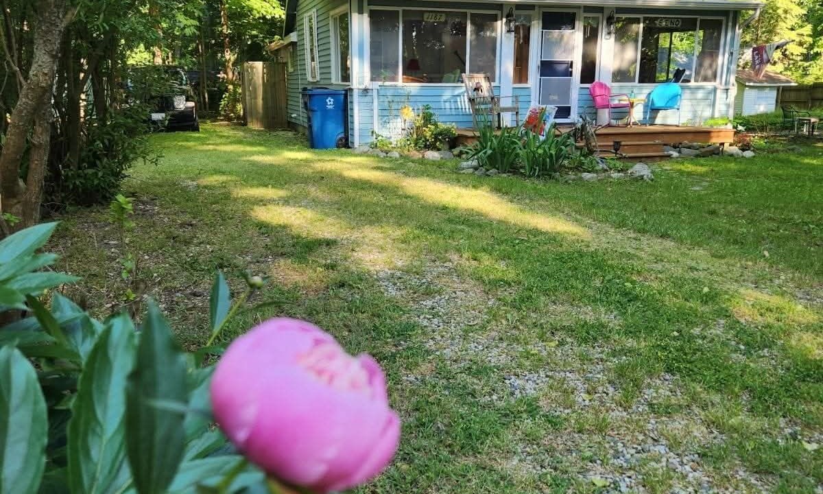 Photo of Outdoor in South Haven
