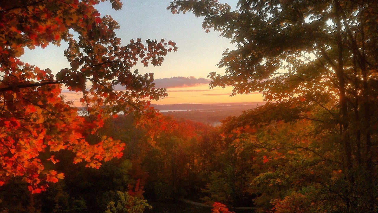 Photo of Others in Traverse City