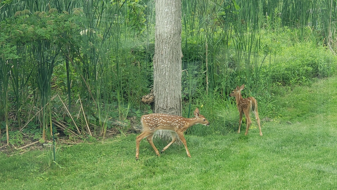 Photo of Outdoor in Lakeview