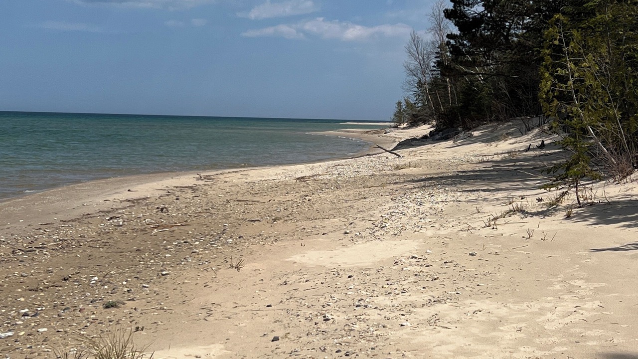 Photo of Others in Rogers City