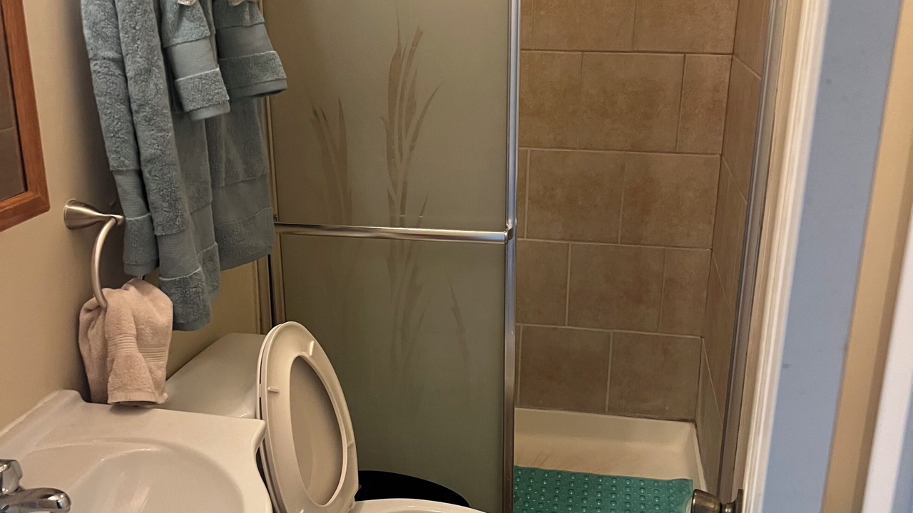 Photo of Bathroom in South Shore