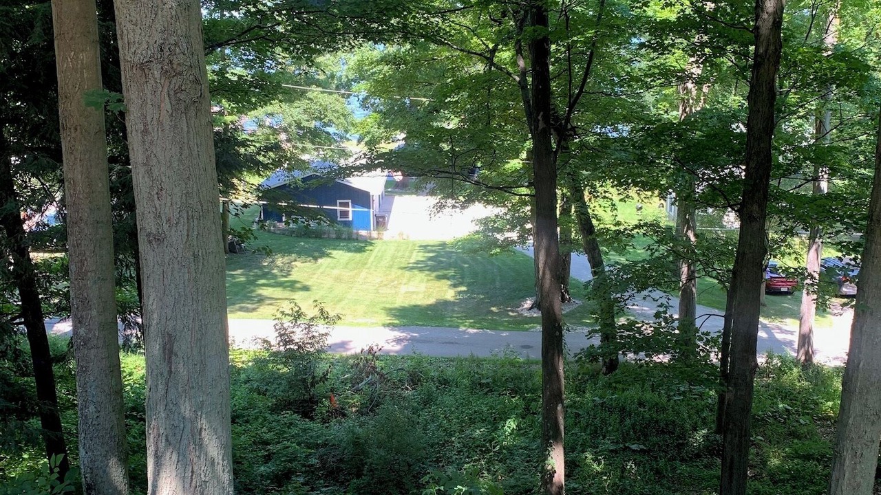 Photo of Outdoor in Whitehall