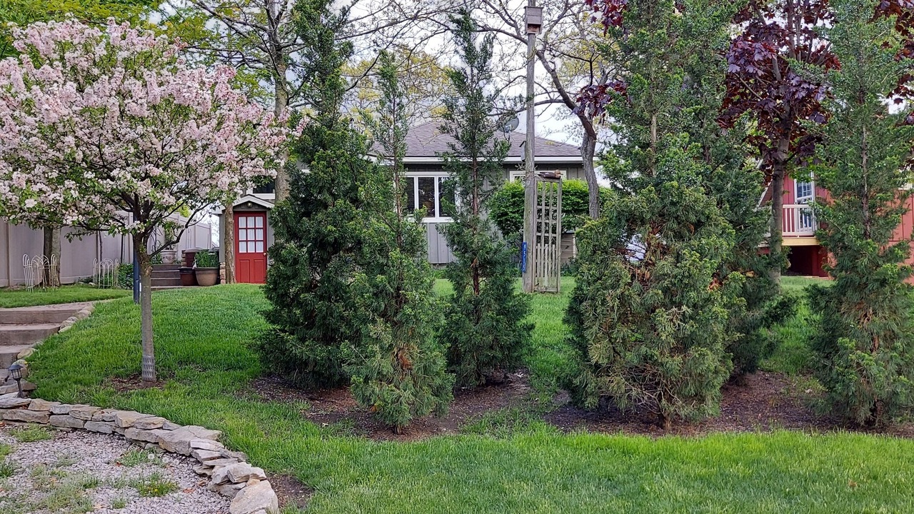 Photo of Outdoor in Pigeon