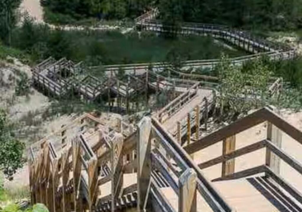 Photo of Others in Town of Pines