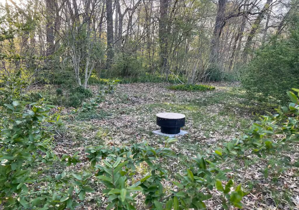 Photo of Outdoor in Town of Pines