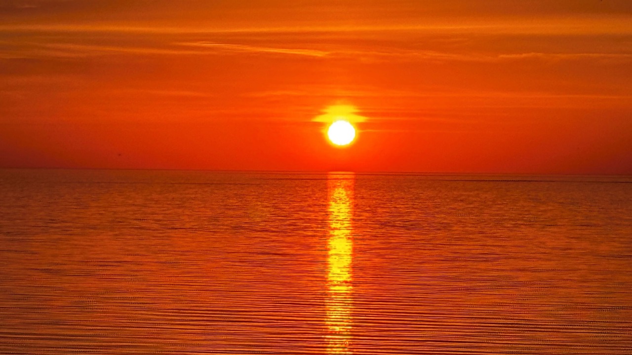 Photo of Others in Muskegon