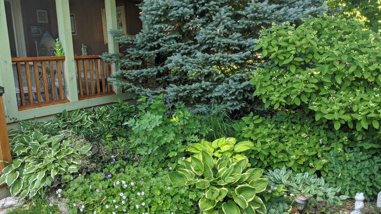 Photo of Outdoor in Fort Atkinson