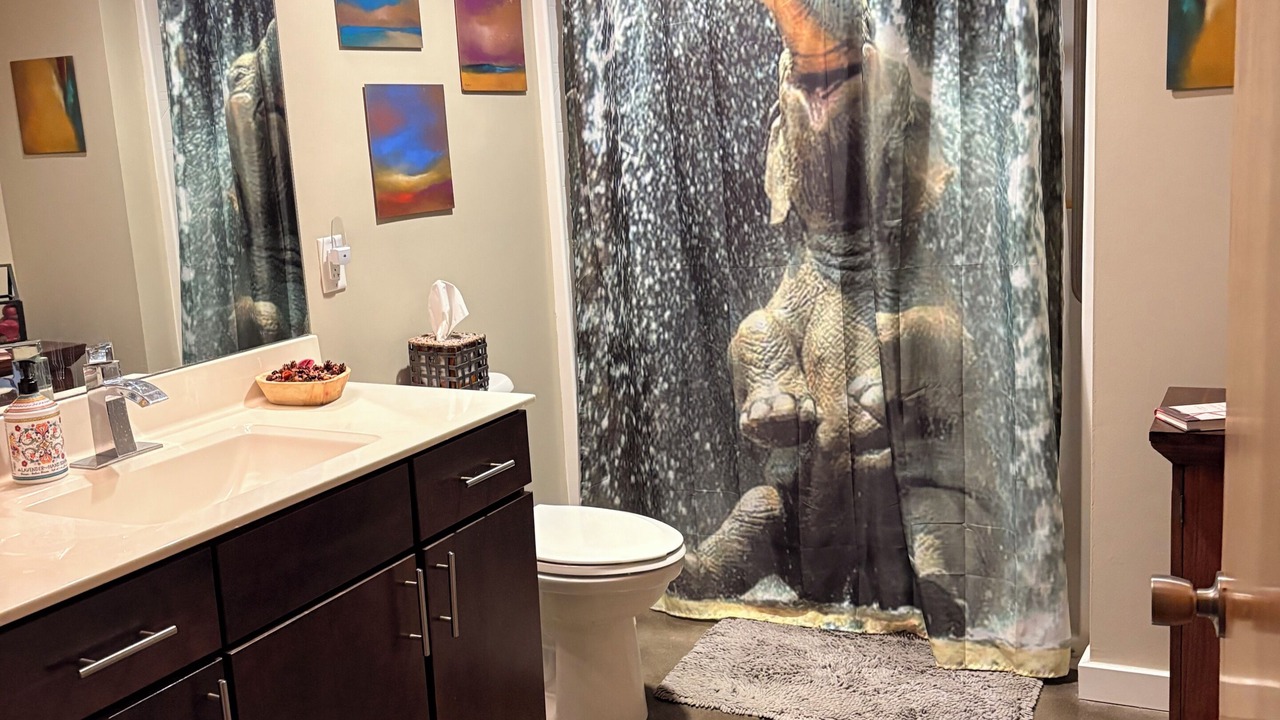 Photo of Bathroom in River Market
