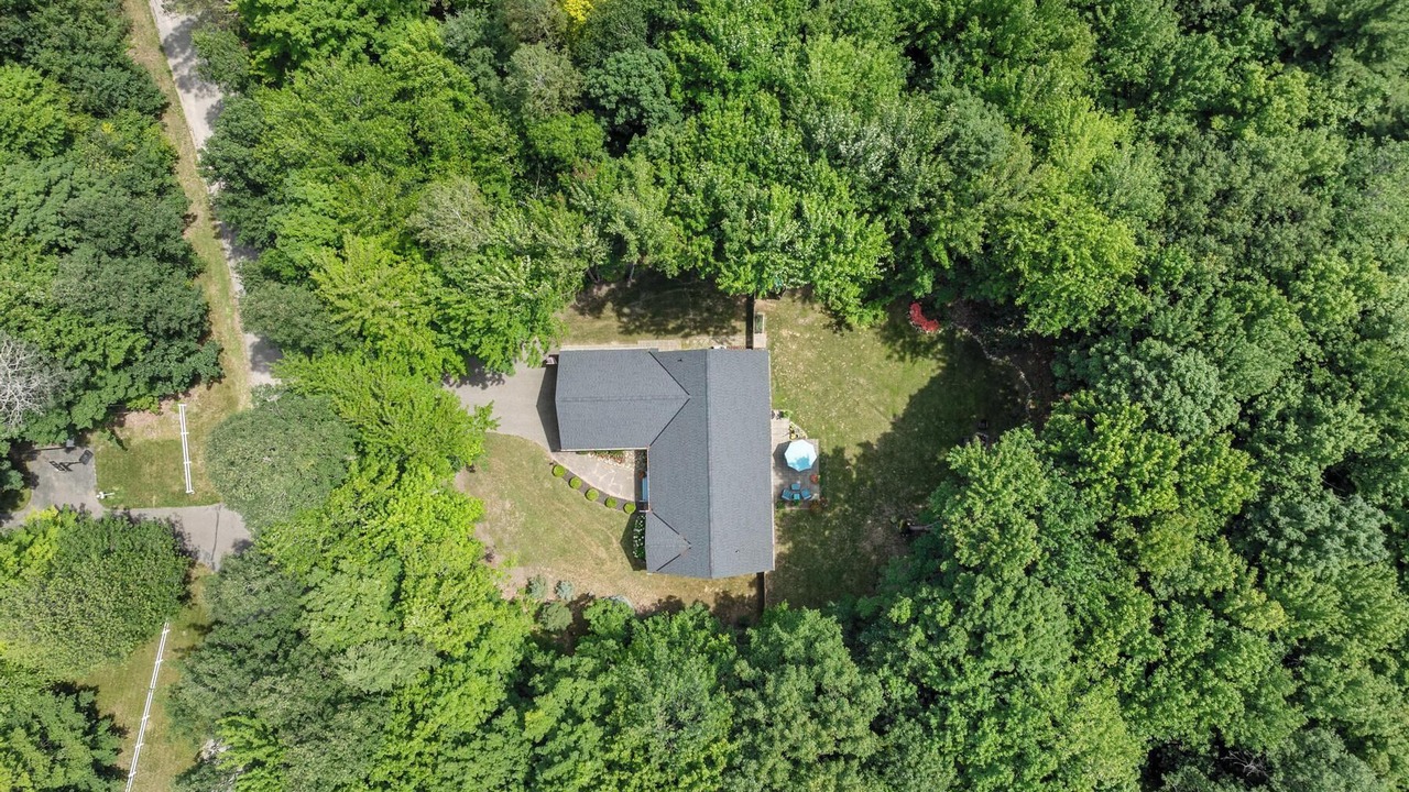 Photo of Outdoor in Alanson