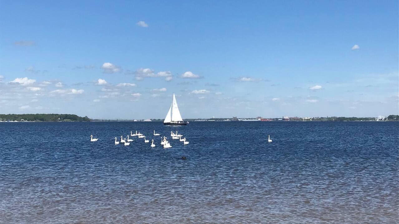 Photo of Others in Bluffton