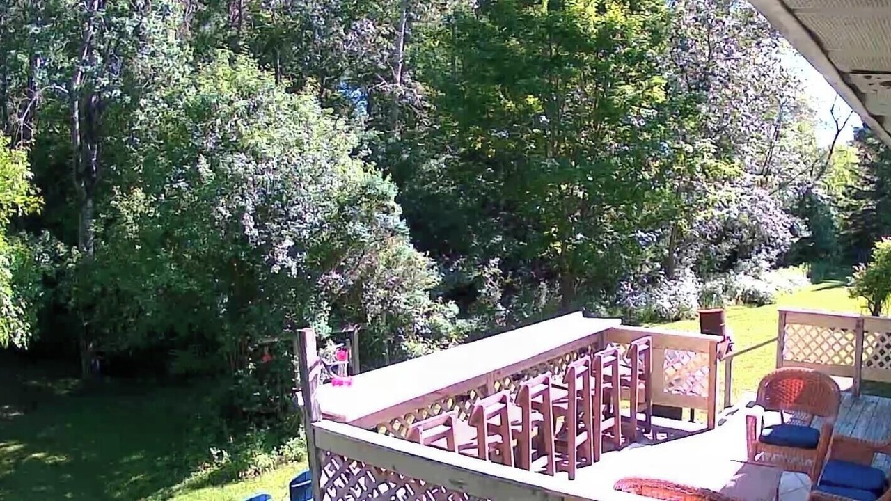 Photo of Outdoor in East Jordan