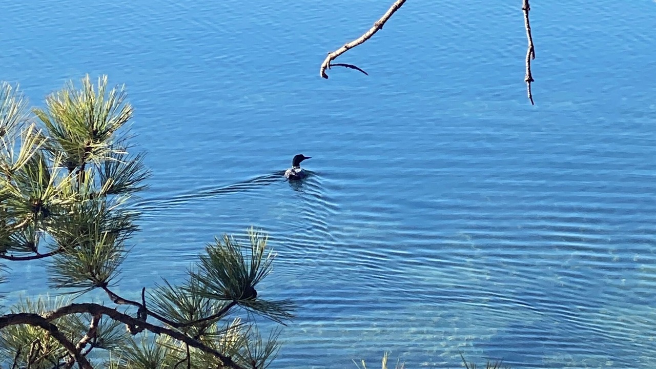 Photo of Others in Park Rapids