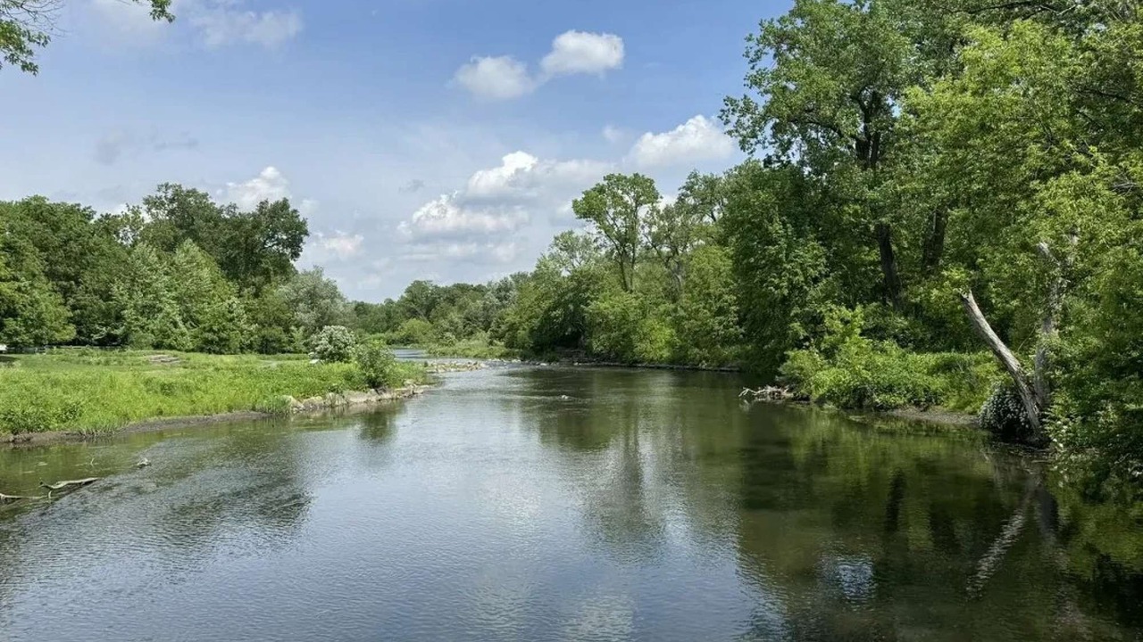 Photo of Others in Naperville