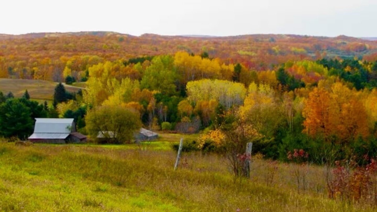 Photo of Others in Levering