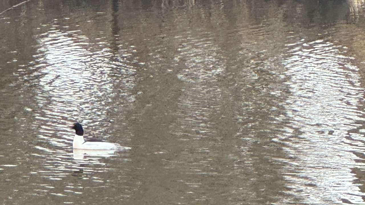 Photo of Others in Winneconne