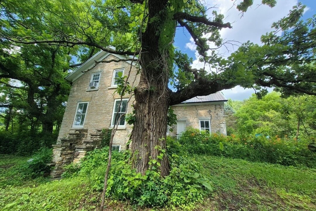 Photo of Outdoor in Decorah