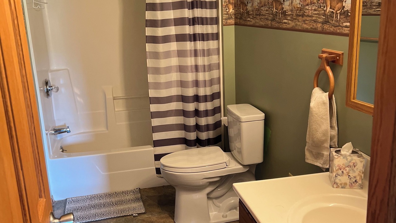 Photo of Bathroom in Adrian