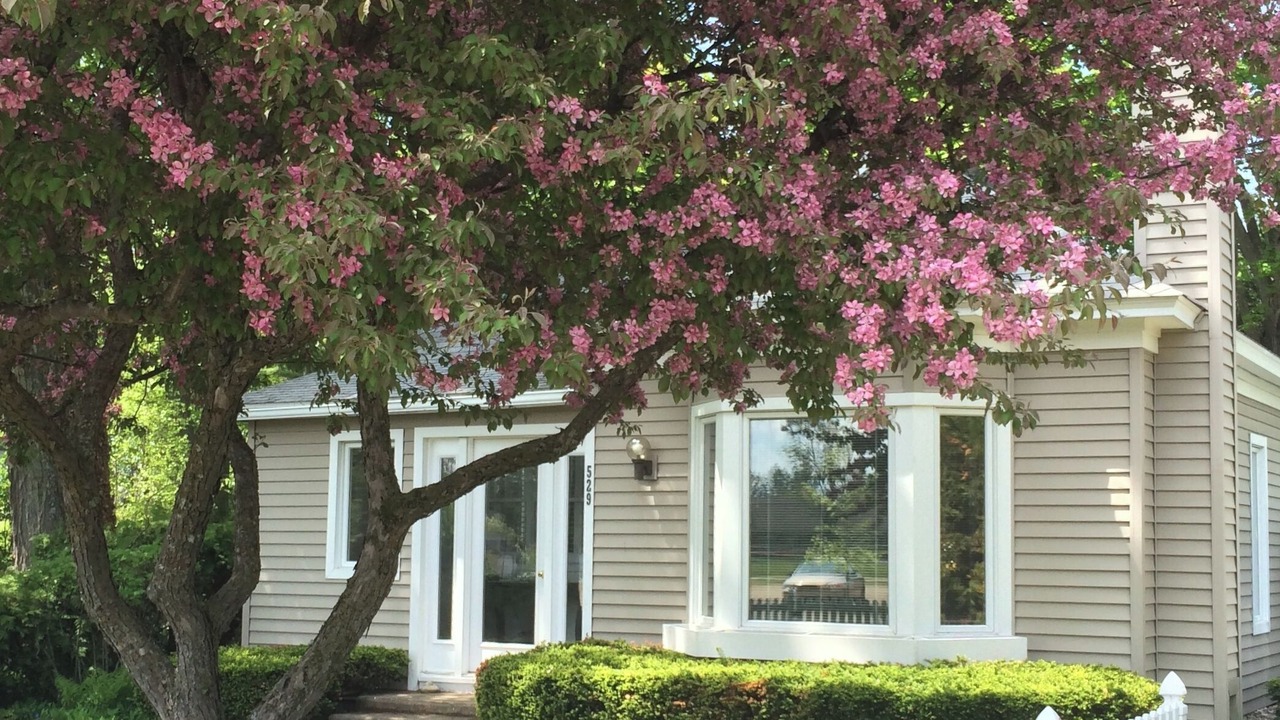 Photo of Outdoor in Harbor Springs