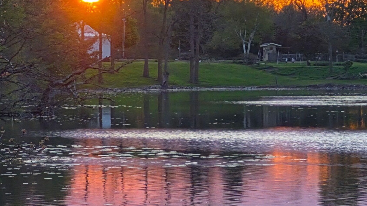 Photo of Outdoor in Mosherville