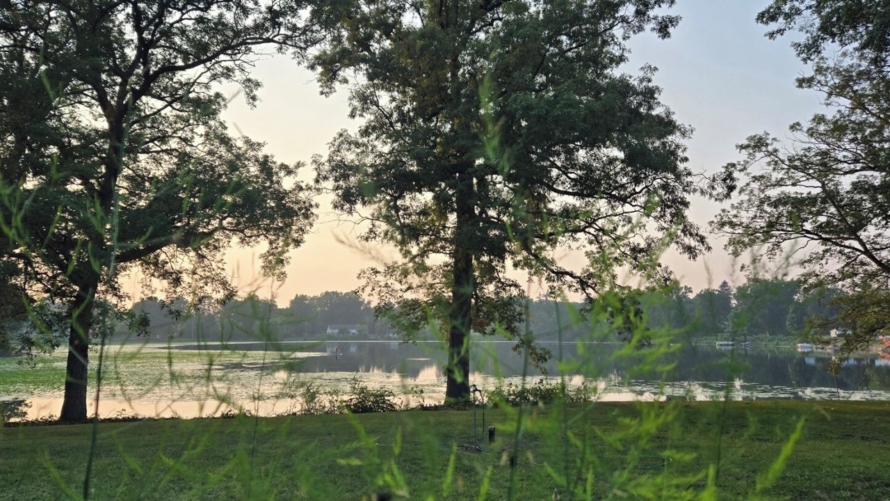 Photo of Others in Mosherville