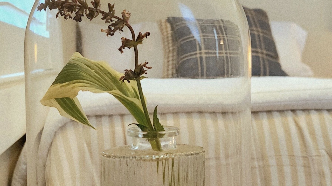 Photo of Bedroom in Thayer