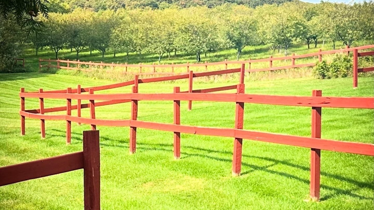Photo of Outdoor in Suttons Bay