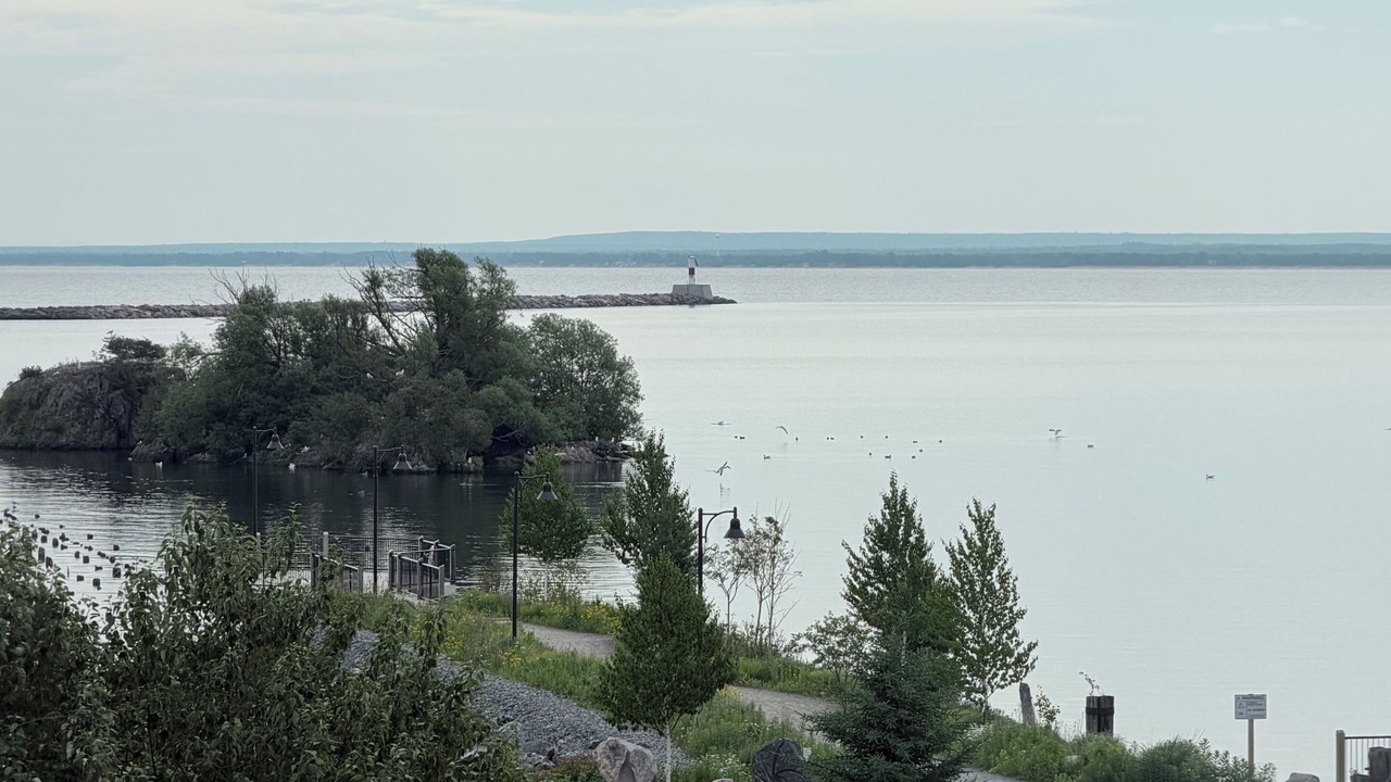 Photo of Others in Marquette