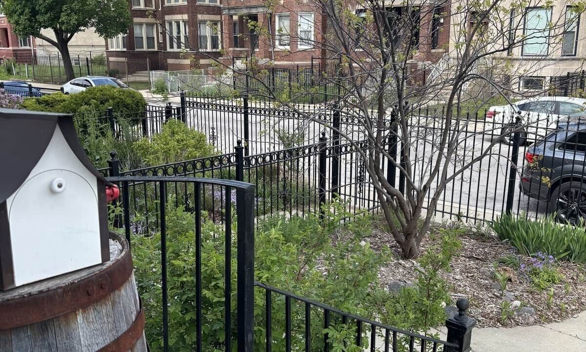 Photo of Outdoor in Woodlawn