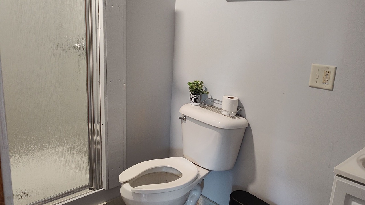 Photo of Bathroom in Reed City